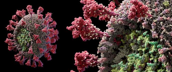 Modèle du virus SARS-CoV-2 en 3D, proposé par le studio Visual Science, le 11 mai.