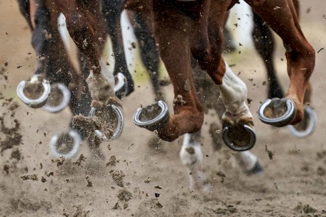 A indústria das corridas de cavalos planeja organizar uma manifestação em Paris na tarde de quinta-feira, 7 de novembro, entre a Place Denfert-Rochereau, no 14º arrondissement, e a Place Vauban, atrás dos Invalides. 