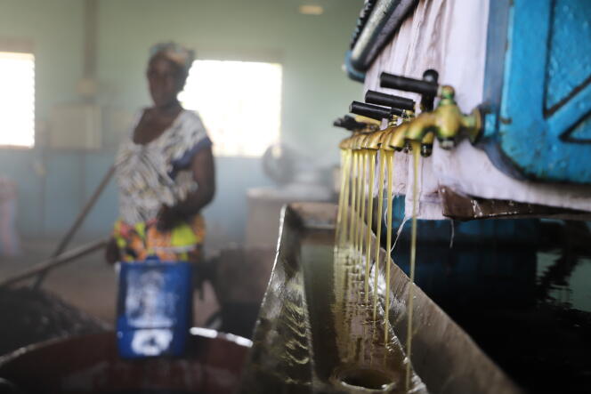 Pour obtenir du beurre de karité, les amandes sont torréfiées, pressées et filtrées dans une coopérative à Ferkessédougou.