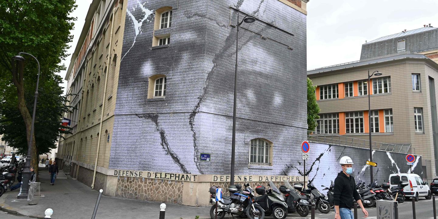 Affaire Adama Traoré « plaquage ventral » et « contrôle costal et