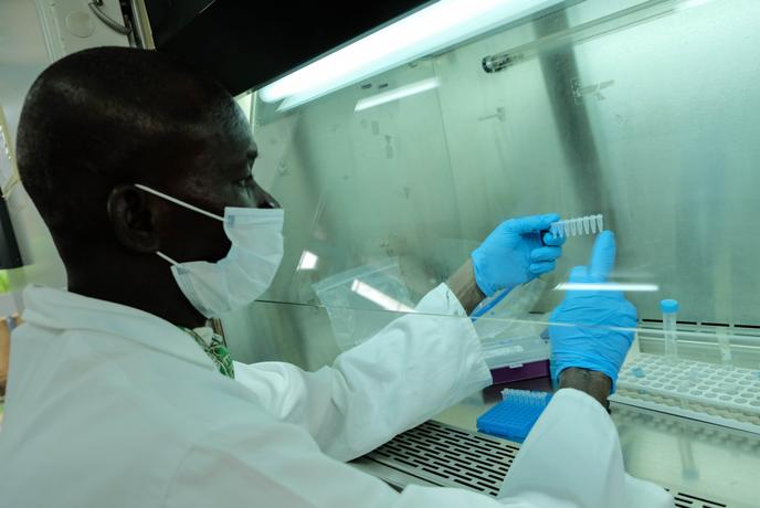 Aliou Traoré, ingénieur et chef de laboratoire au MRTC, étudie le patrimoine génétique du parasite du paludisme.