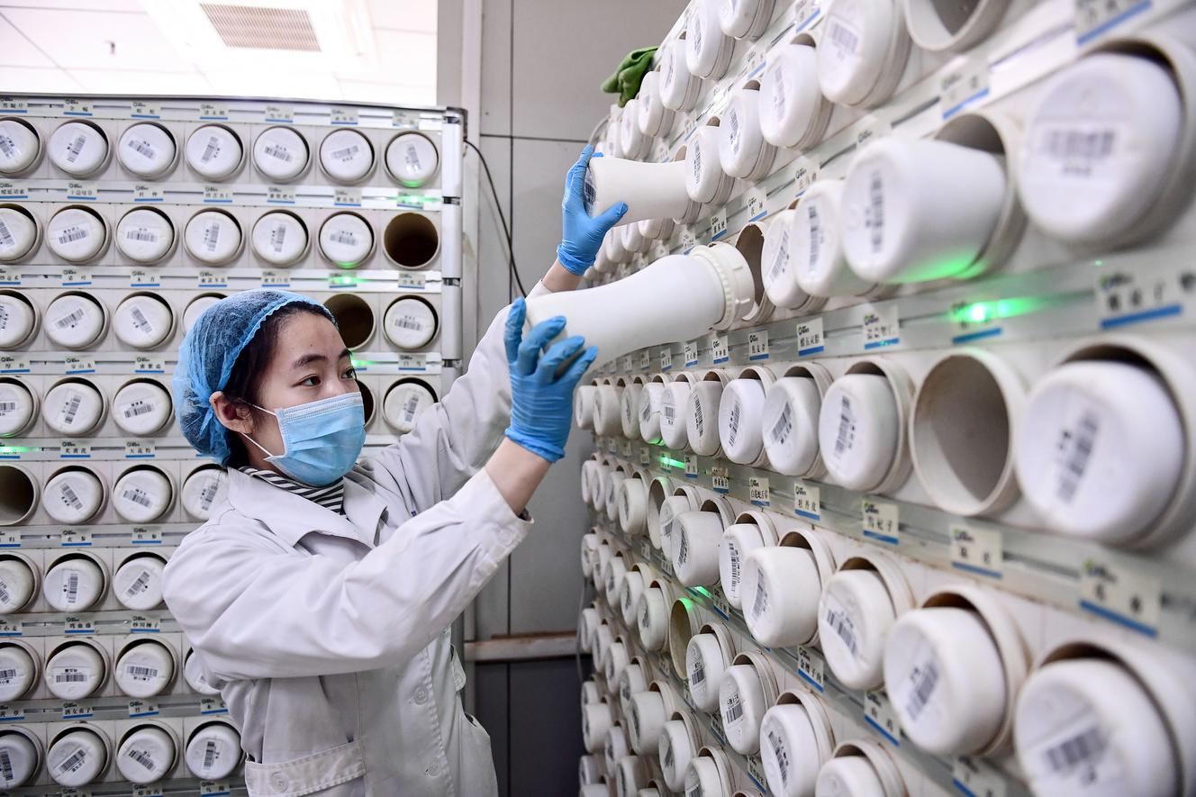 um trabalhador médico produz um composto de medicina tradicional chinesa, no Shenyang Hospital (China), 20 de fevereiro.