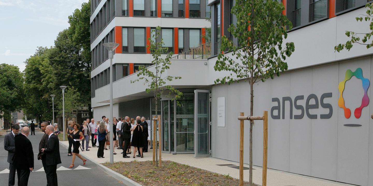 Le Comite D Ethique De L Anses En Desherence Depuis Six Mois