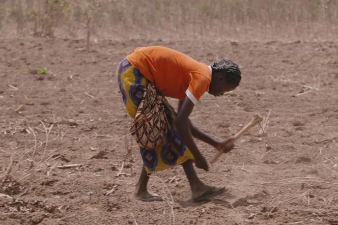 Ogm Mensonges Et Verites Les Fausses Promesses D Une Revolution Agricole Ogm Mensonges Et Verites Les Fausses Promesses D Une Revolution Agricole