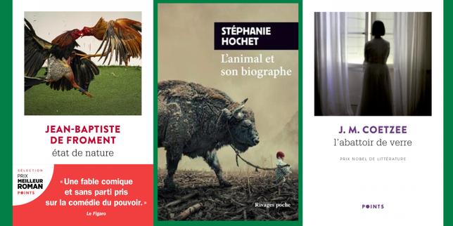Jean-Baptiste de Froment, Stéphanie Hochet, J. M. Coetzee : la chronique « poches » de Mathias Enard