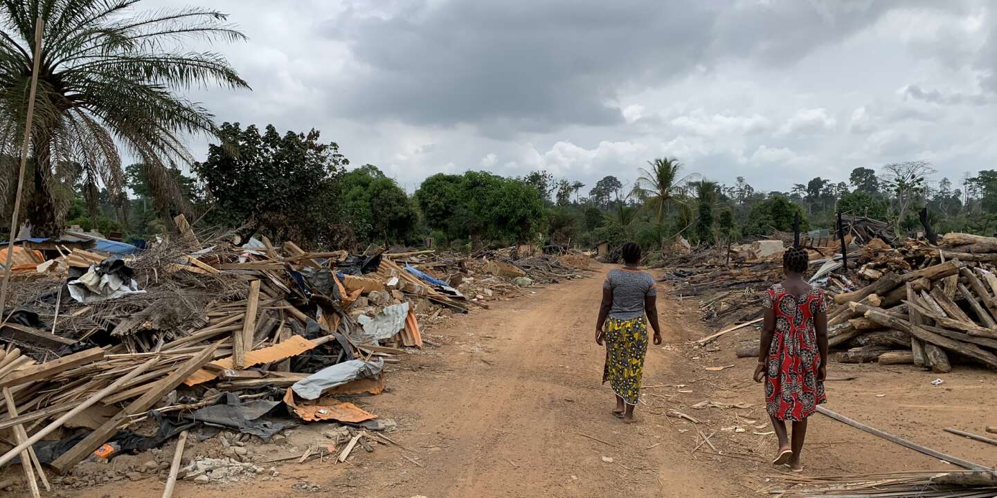 Entre ses forêts et son cacao, la Côte d’Ivoire peine à trancher