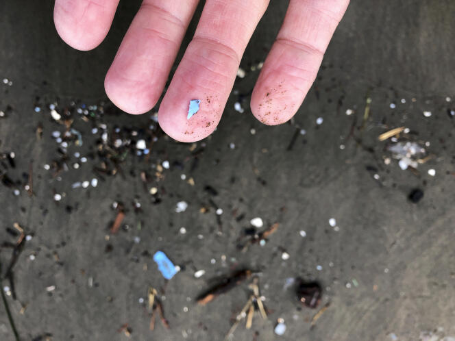 Des débris microplastiques retrouvés sur la rive à Depoe Bay, dans l’Oregon, le 19 janvier.
