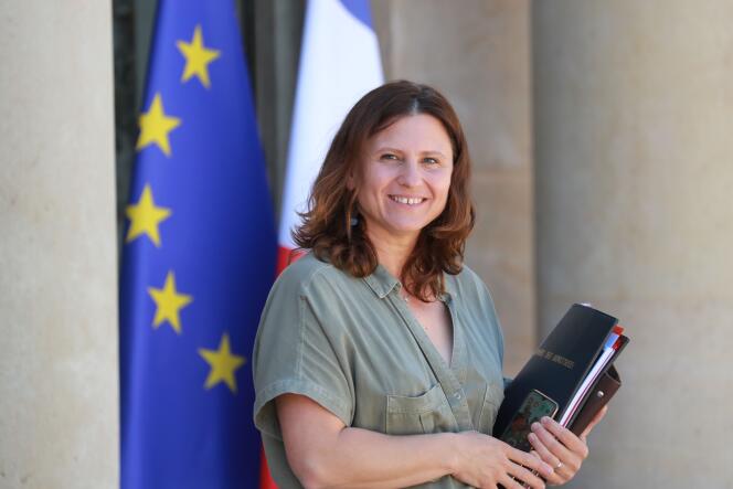 Roxana Maracineanu, le 24 juin à Paris, au sortir d’une réunion à l’Elysée.