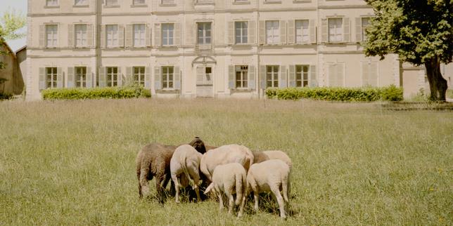 A Saint-Maurice-de-Rémens, le château oublié du Petit Prince
