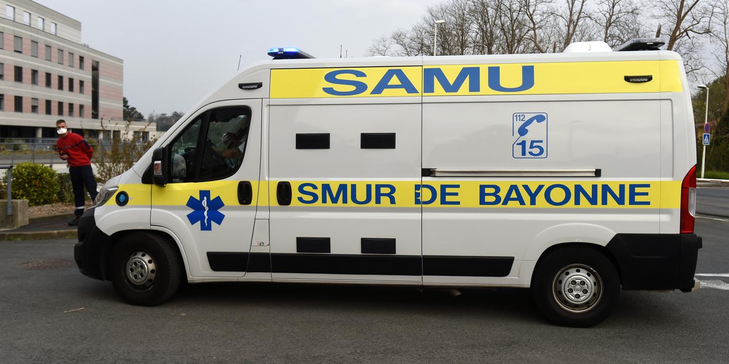 Bayonne Bus Driver Brain Dead After Assault Archyde