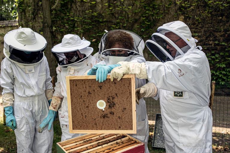 Paris Juin 2020 - ”Société centrale d’apiculture