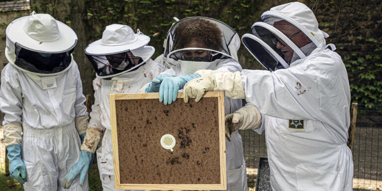 Paris Juin 2020 - ”Société centrale d’apiculture