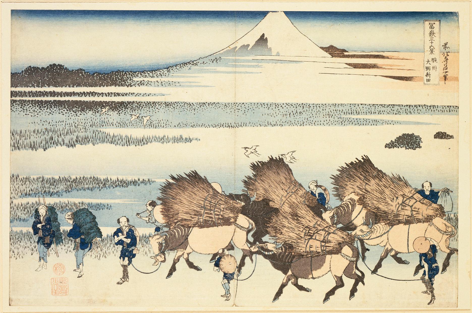 Le mont Fuji vu sous tous les angles