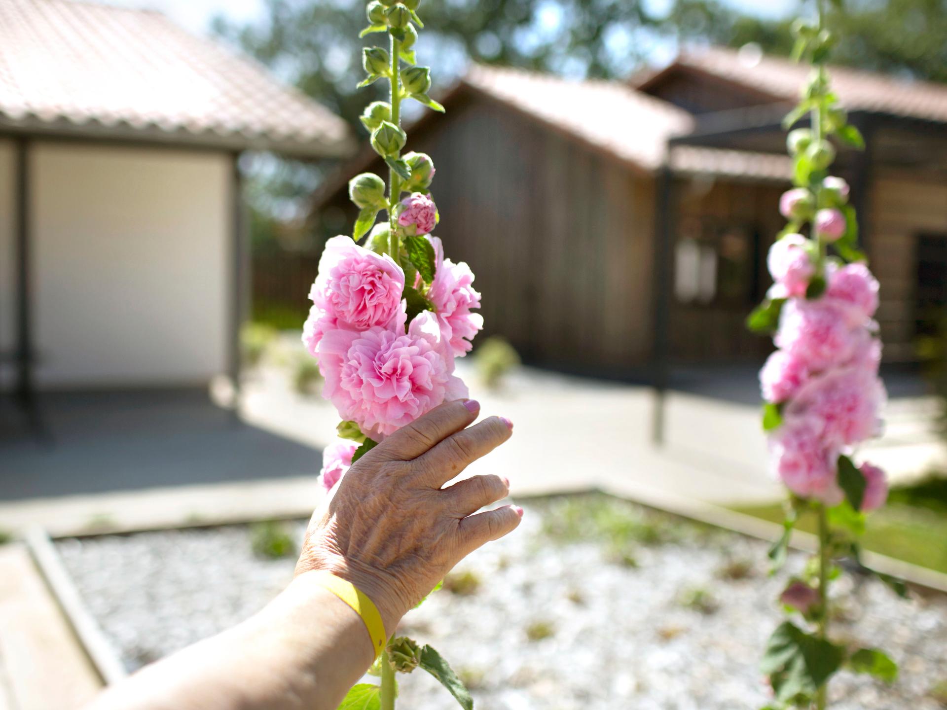 La nature est ominprésente dans le lieu, une villageoise touche une fleur en passant.
