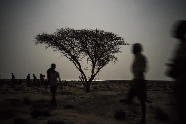 Chaque nuit, environ un millier de migrants sont convoyés par les passeurs vers les plages les moins surveillées, au nord d’Obock, à Djibouti, d’où ils seront embarqués sur des boutres pour la traversée du détroit.