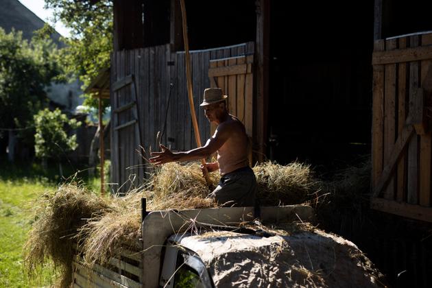 Szilveszter Nagy (78 ans), agriculteur à Csikszentmarton, en Roumanie, le 2 juillet.