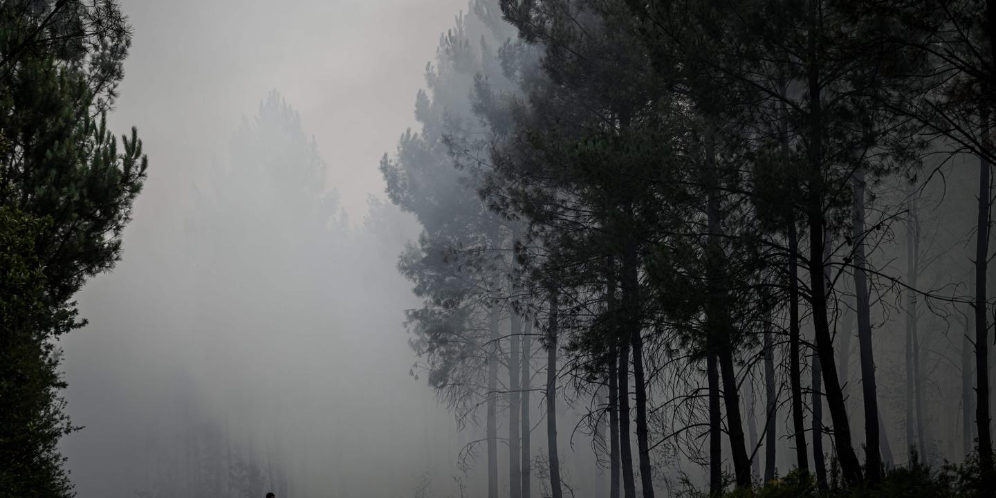 L Incendie De Foret Qui A Brule Pres De 300 Hectares Dans L Aude Est Maitrise