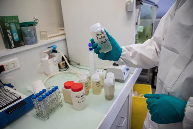 Un technicien de laboratoire manipule des échantillons d’eaux usées, dans un laboratoire d’Eau de Paris, à Ivry-sur-Seine, le 22 juillet.