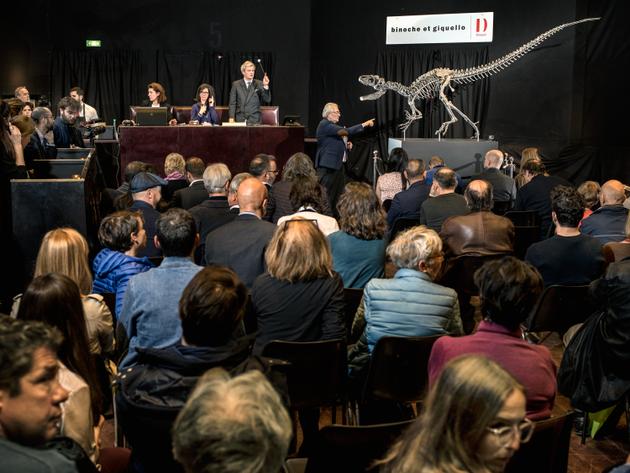 A Paris, le 11 avril 2018, la vente aux enchères à Drouot d’un spécimen d’allosaure (visible sur la photo), ainsi que d’un diplodocus. La paire a été adjugée pour 2,8 millions d’euros.