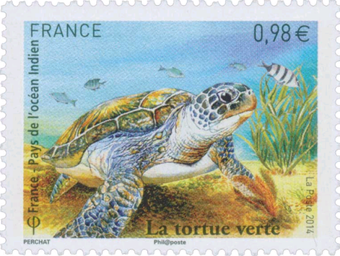 « La tortue verte », pour la France, en 2014.