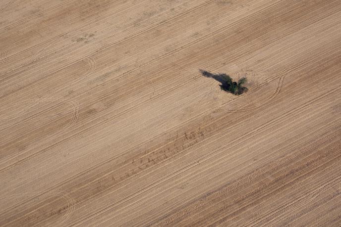 Un champ en Indre-et-Loire, lors la sécheresse en juillet 2019.