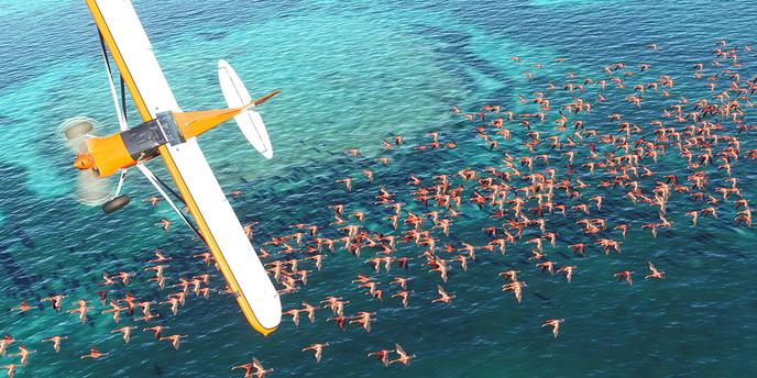 Pour la première fois dans un « Flight Simulator », la faune des lieux survolés est elle aussi simulée.