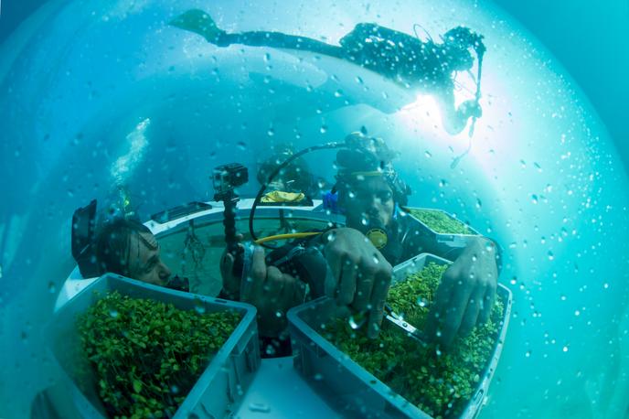 Projet écologique italien de biosphère immergée, à Noli (Italie), le 20 septembre 2015.