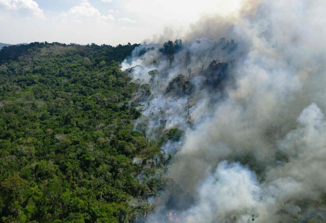 Un incendie forestier dans l’Etat du Para, au Brésil, le 16 août 2020.