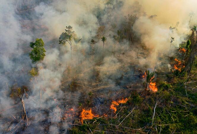 Un incendie illégal en Amazonie, dans l’Etat du Para, au Brésil, le 15 août 2020.
