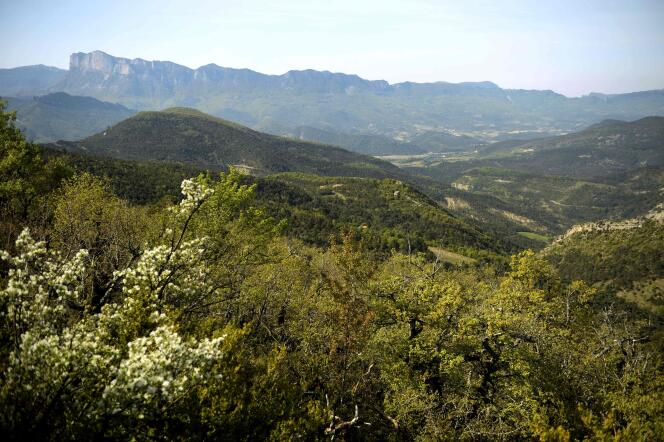 La réserve de vie sauvage du Grand Barry dans la Drôme, en 2014, théâtre d’une expérimentation sur la biodiversité.