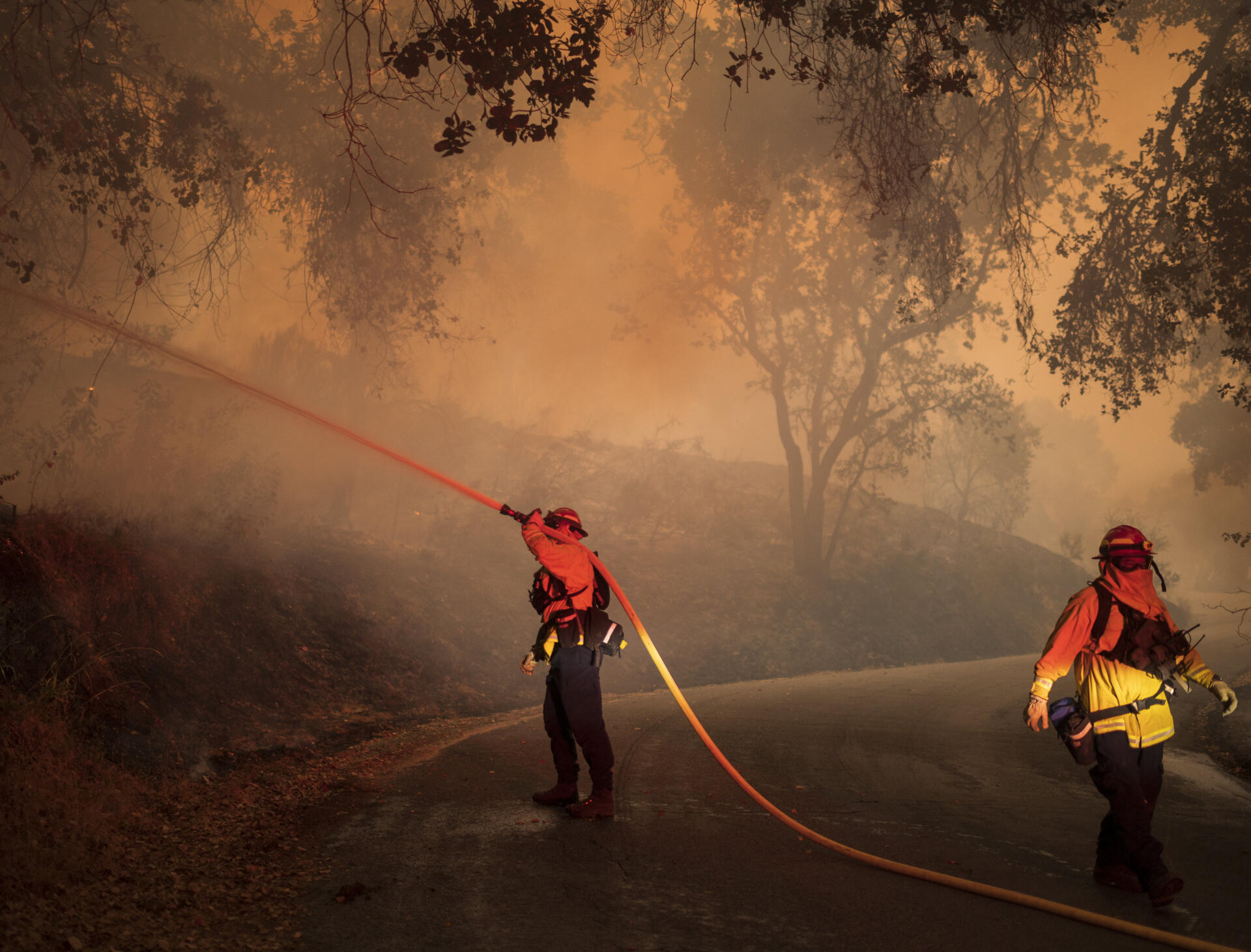 Des centaines de pompiers se battent contre les feux, comme ici dans la vallée de Carmel, le 18 août. Ils ne sont pas assez nombreux pour en venir à bout ; la Californie a demandé des renforts aux Etats voisins.