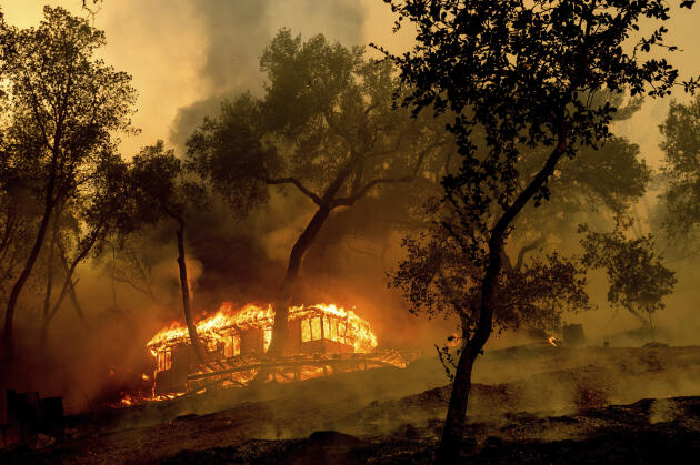 L’incendie Hennessey dévore le vignoble de la famille Nichelini, dans la vallée de Napa, le 18 août. Une dizaine d’incendies au total se sont déclarés dans la région.