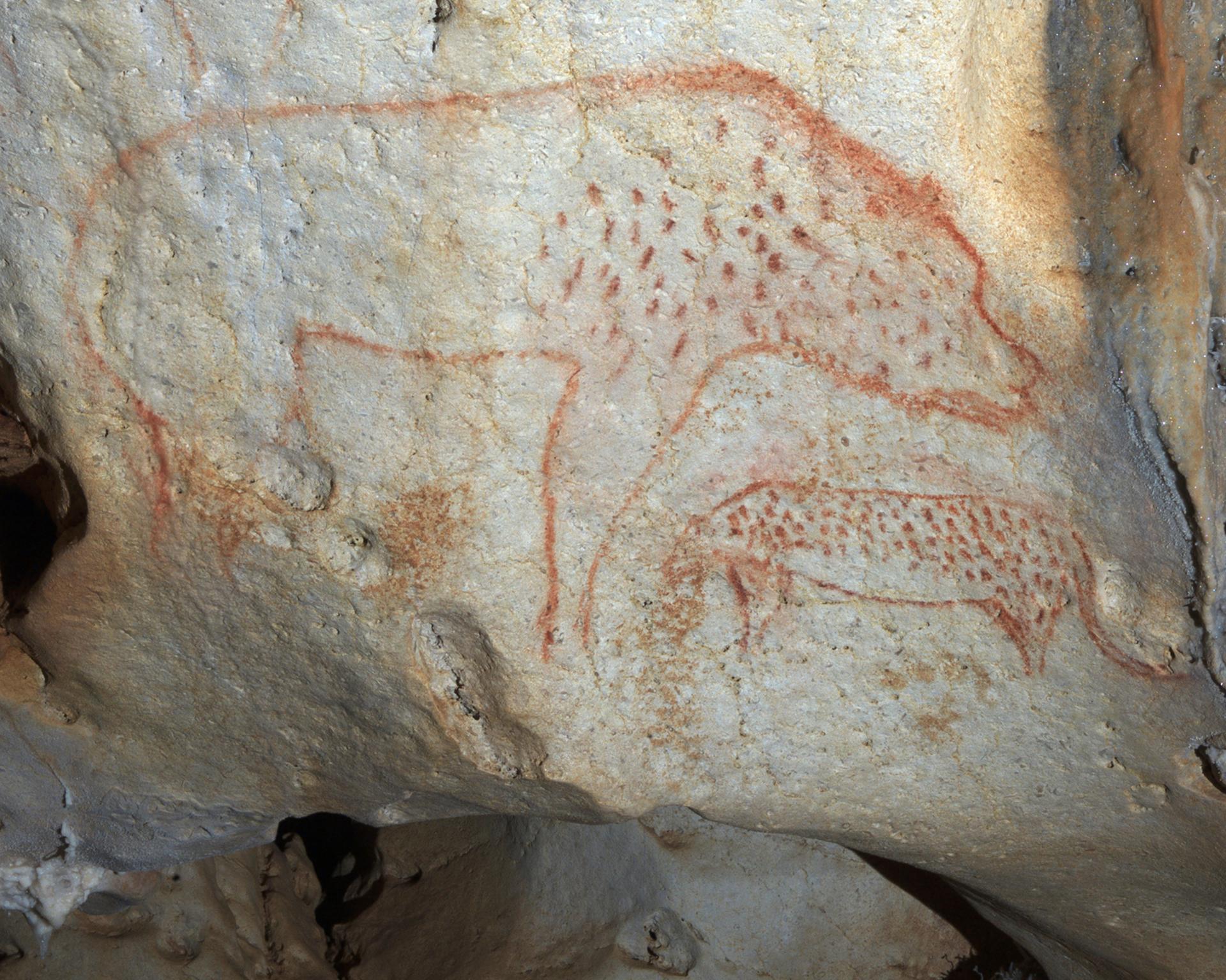 Panneau de la panthère, dans la galerie des Panneaux rouges de la grotte Chauvet.