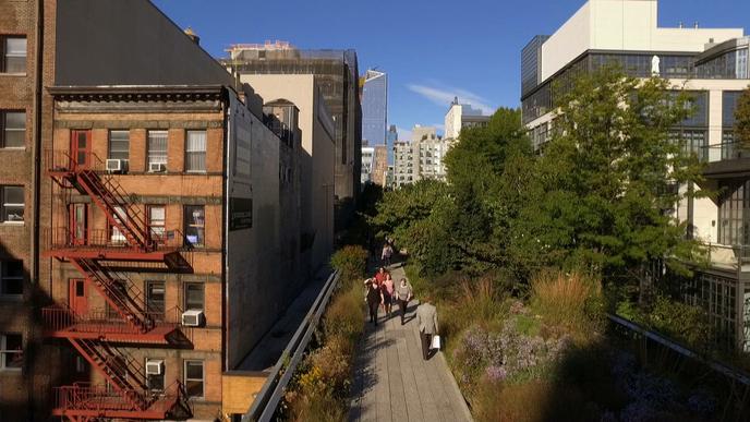 La High Line de Manhattan, véritable « coulée verte », est un jardin d’herbes folles et de plantes sauvages savamment domestiquées par le paysagiste néerlandais Piet Oudolf.