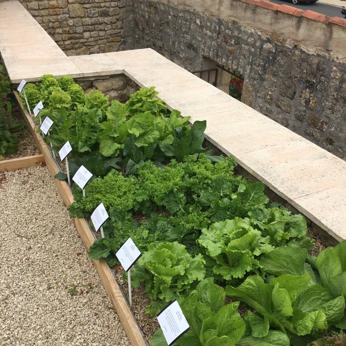 Vue du Clos des salades, à la Maison de la fontaine, dans le village de Thiré.
