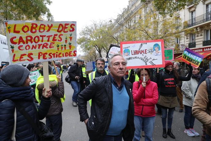 Le président de la Ligue pour la protection des oiseaux, Allain Bougrain-Dubourg, lors d’une marche pour le climat à Paris, en décembre 2018.