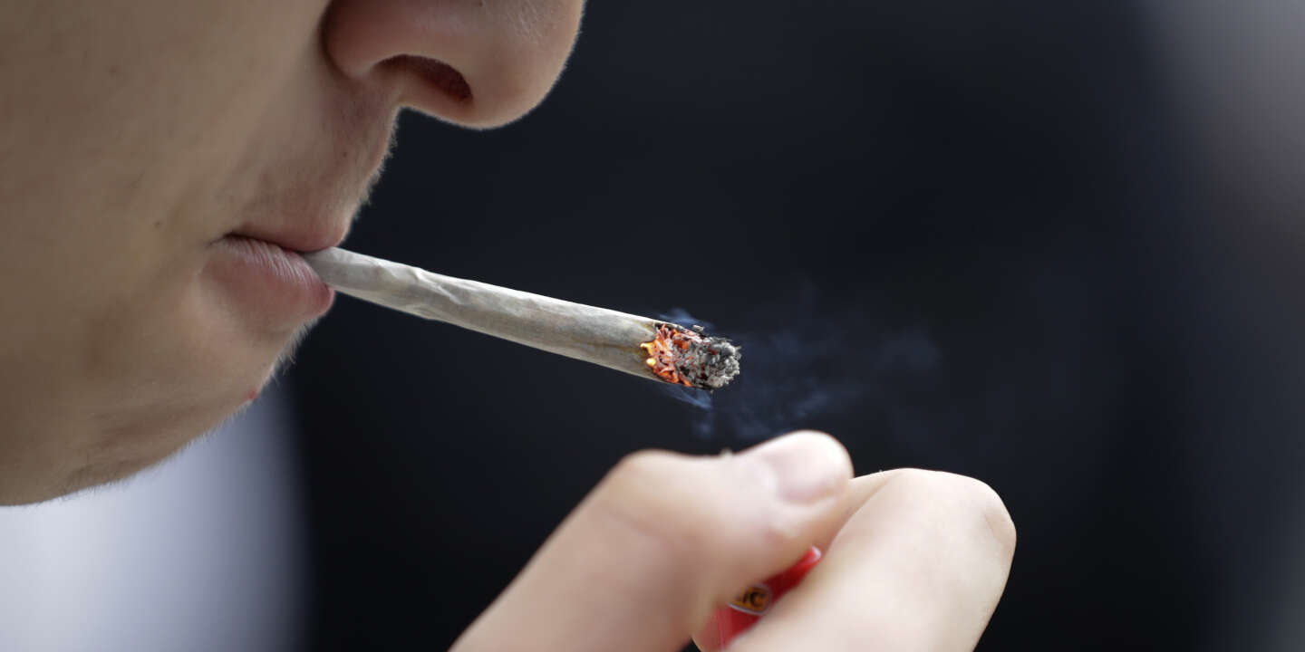 En Europe Les Adolescents Consomment Davantage De Cannabis Et Moins