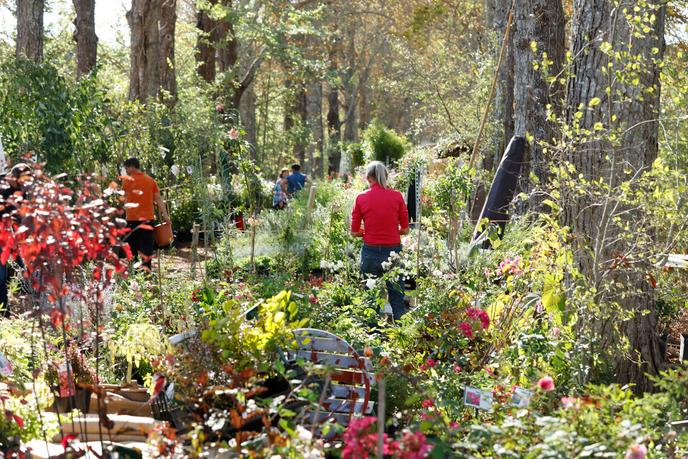 Les Botaniques de  Chaumont-sur-Loire, en octobre 2019.