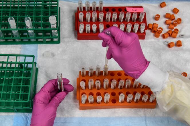 13 sierpnia 2020 r. na Florydzie technik laboratoryjny bada próbki krwi do testu szczepień.