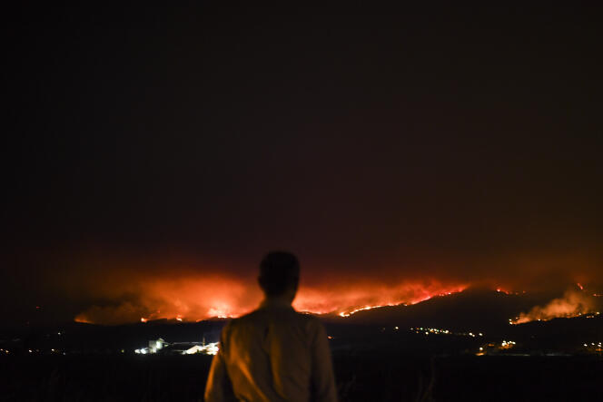 En 2017, la petite ville portugaise de Leiria, dans le centre du pays, avaient été la proie de graves incendies.