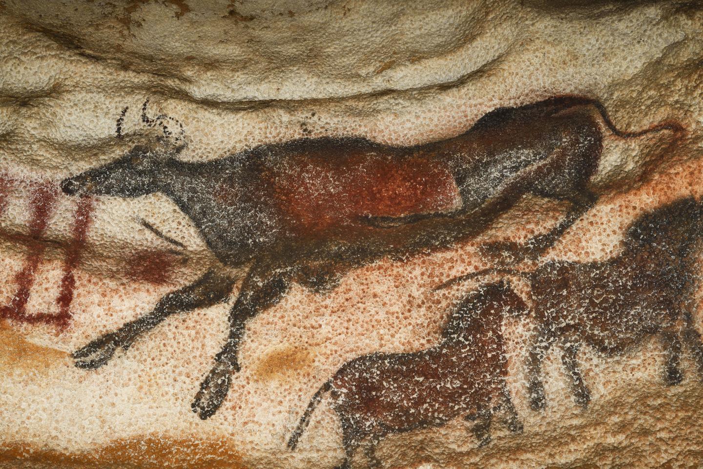 洋書 Lascaux : Le geste, l'espace et le temps Amazon.co.jp: Lascaux : Le geste, l'espace et le temps : 本