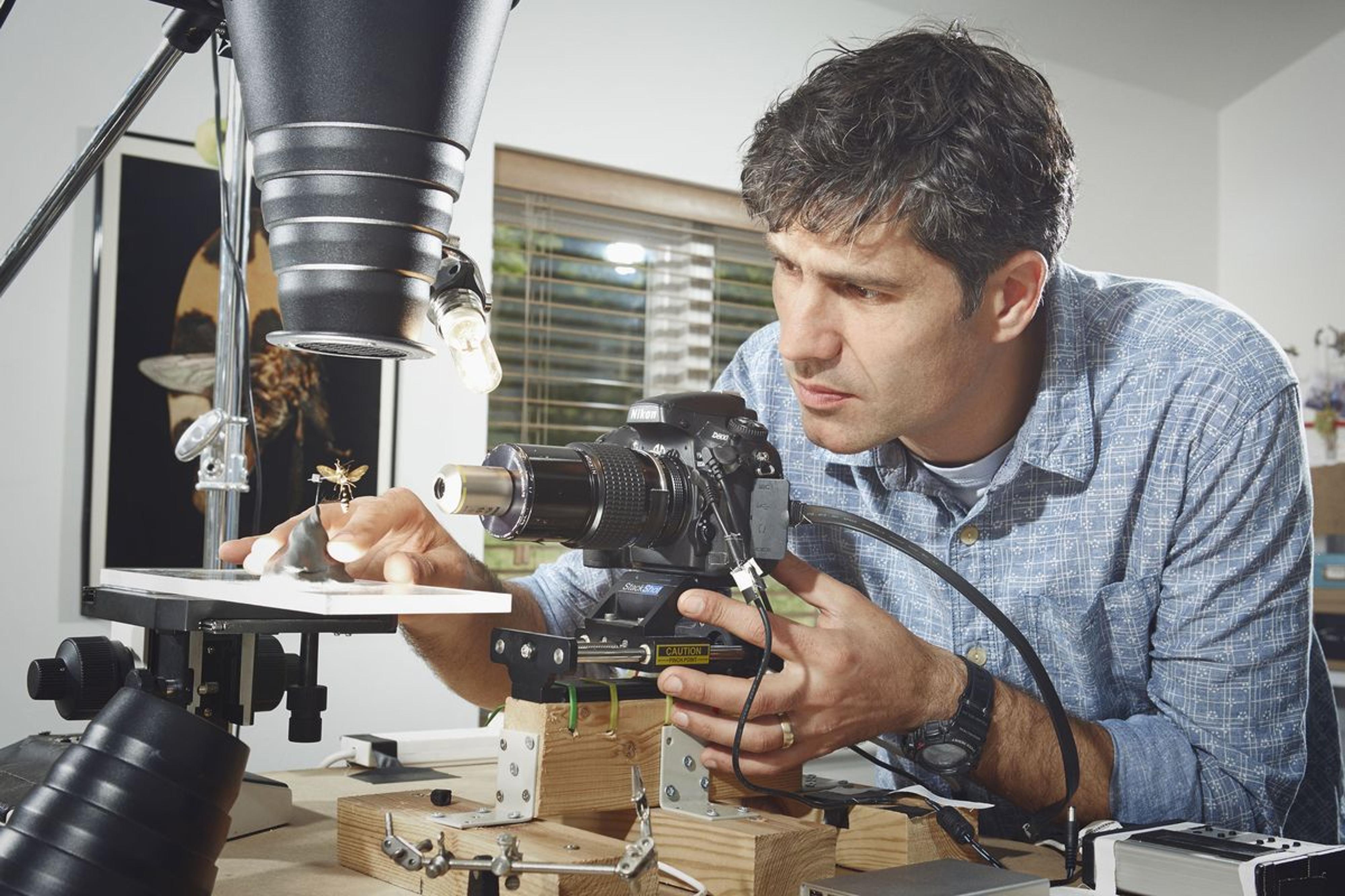 Quand Levon Biss photographie le monde minuscule des insectes