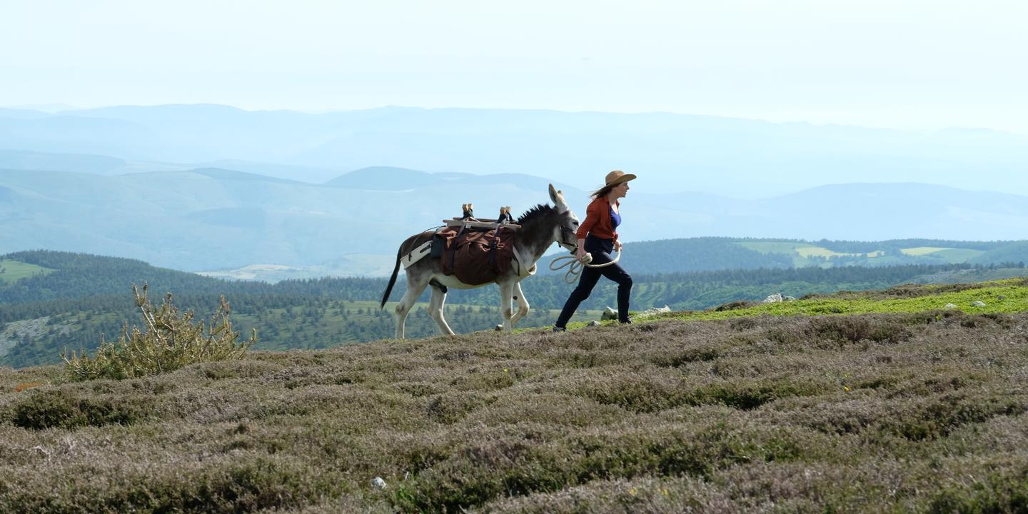 Antoinette Dans Les Cevennes Laure Calamy En Duo Comique Avec Un Ane