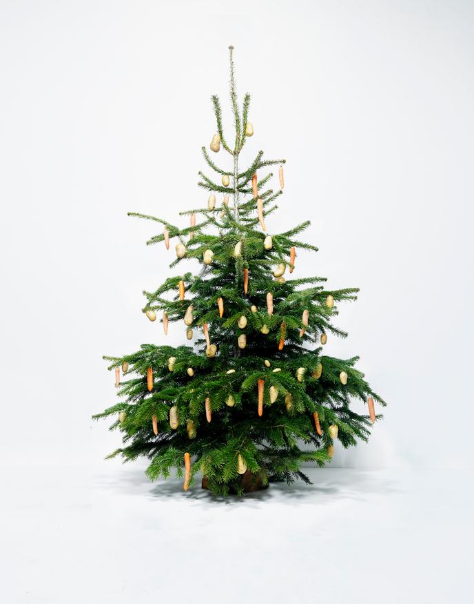 A Bordeaux Le Sapin Sur La Sellette