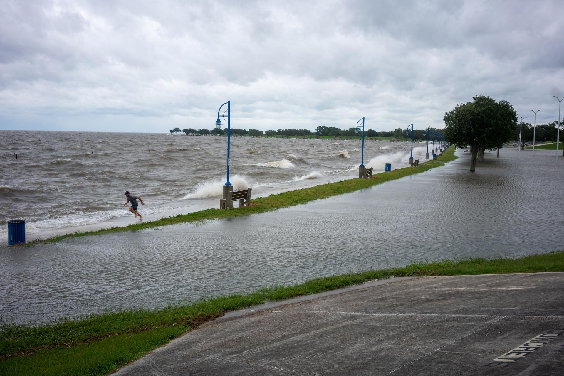 Zone Marecageuse Du Sud De La Louisiane