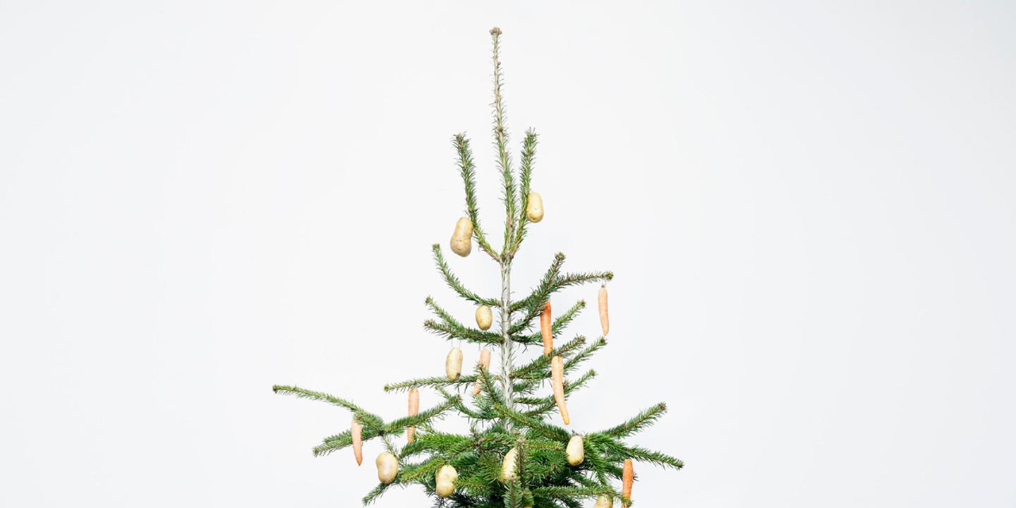 A Bordeaux Le Sapin Sur La Sellette