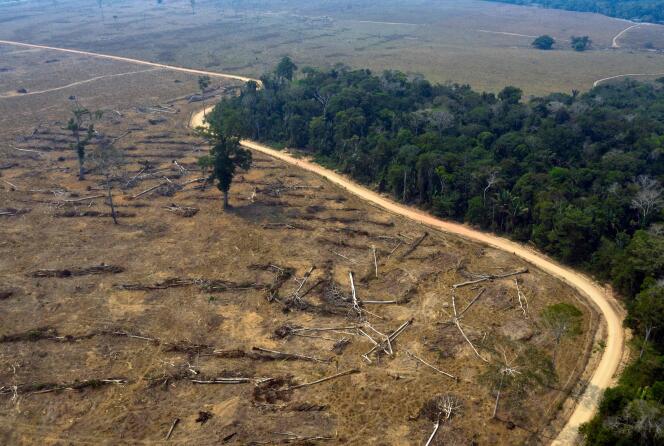 Une vue aérienne de zones brûlées de la forêt amazonienne, près de Porto Velho, dans l’Etat de Rondônia, au Brésil, le 24 août 2019.