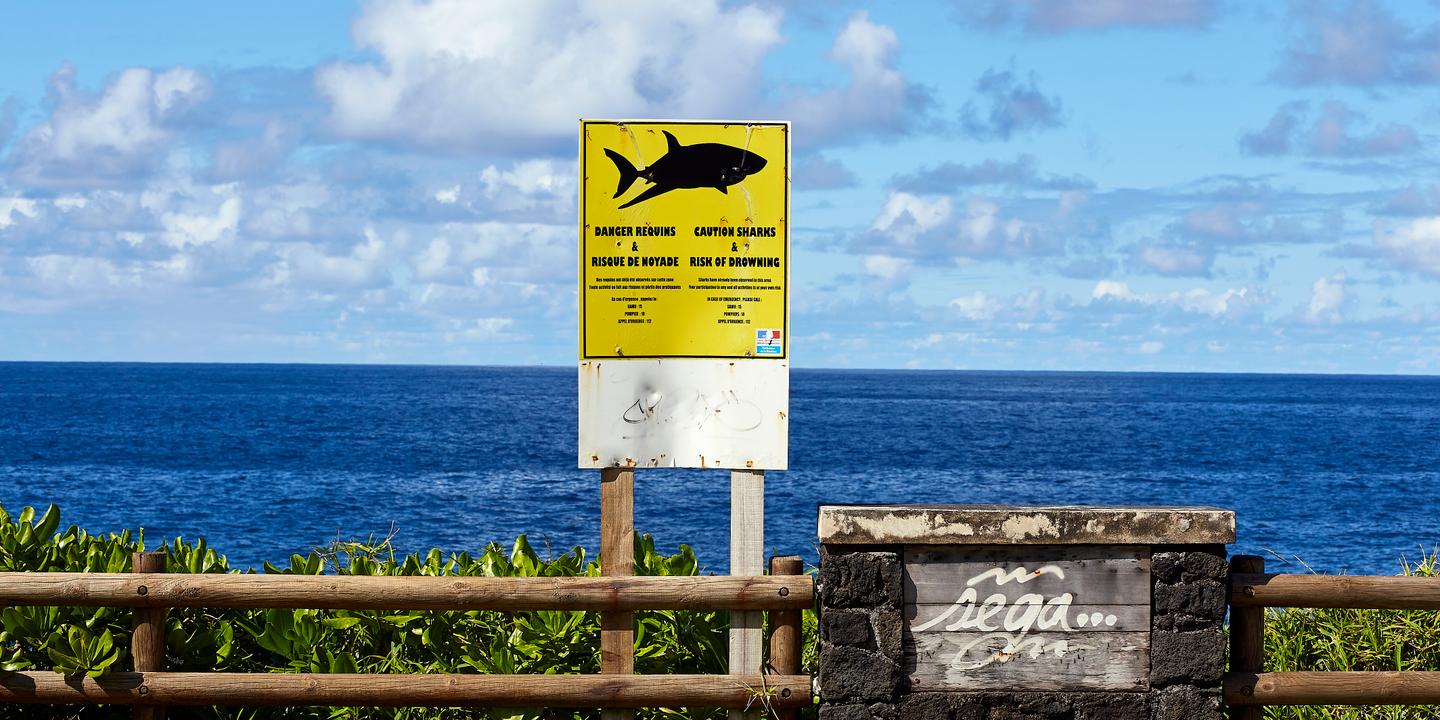 a la reunion une peche preventive aux requins unique au monde mais controversee
