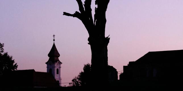 « Demain la brume », de Timothée Demeillers : grandir et mourir pour Vukovar