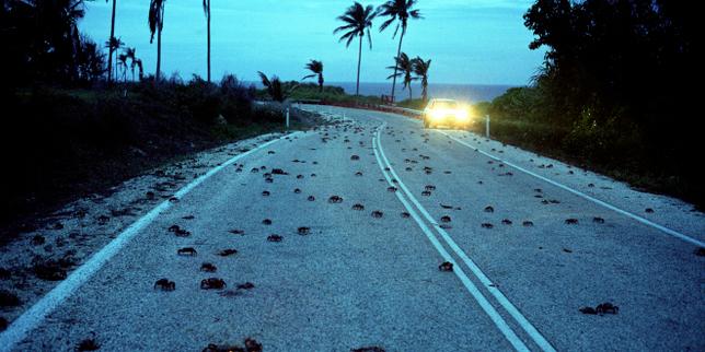 « L’Ile de Jacob », de Dorothée Janin : revenir à Christmas Island